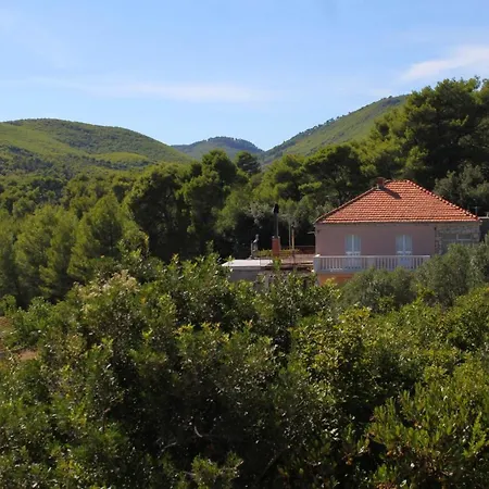 Family Friendly With A Swimming Pool Smokvica, Korcula - 9161