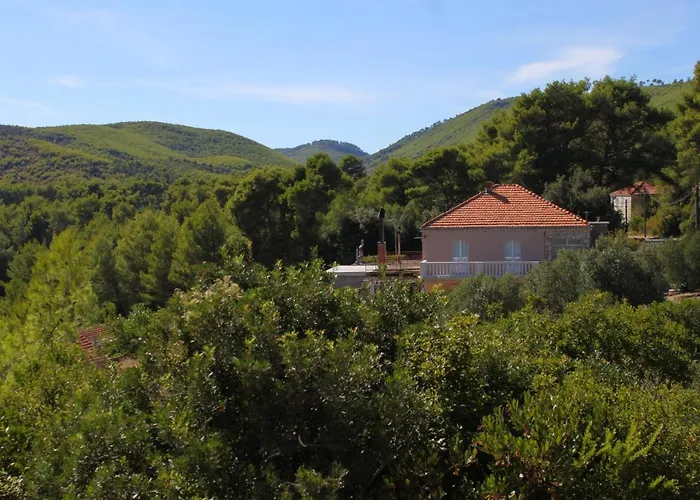 Family-friendly With Swimming Pool Smokvica, Korcula - 9161